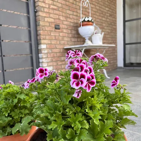 Castel קאסטלמונטה