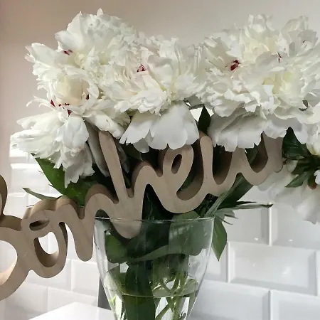 Castel דירה קאסטלמונטה