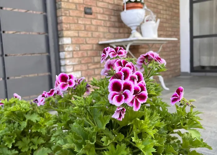 Castel Castellamonte